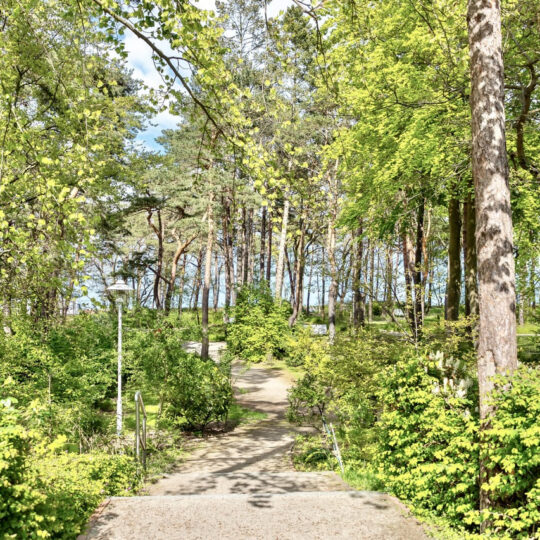 Ferienwohnung Helene im Ostseebad Baabe auf der Insel Rügen an der Ostsee nahe Binz - Kurpark